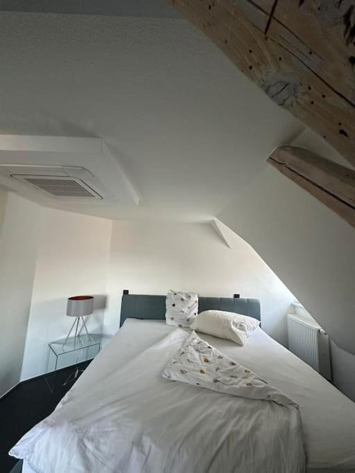 Panorama Penthouse In Wunderschoener Villa Kassel Buitenkant foto