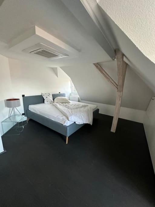 Panorama Penthouse In Wunderschoener Villa Kassel Buitenkant foto